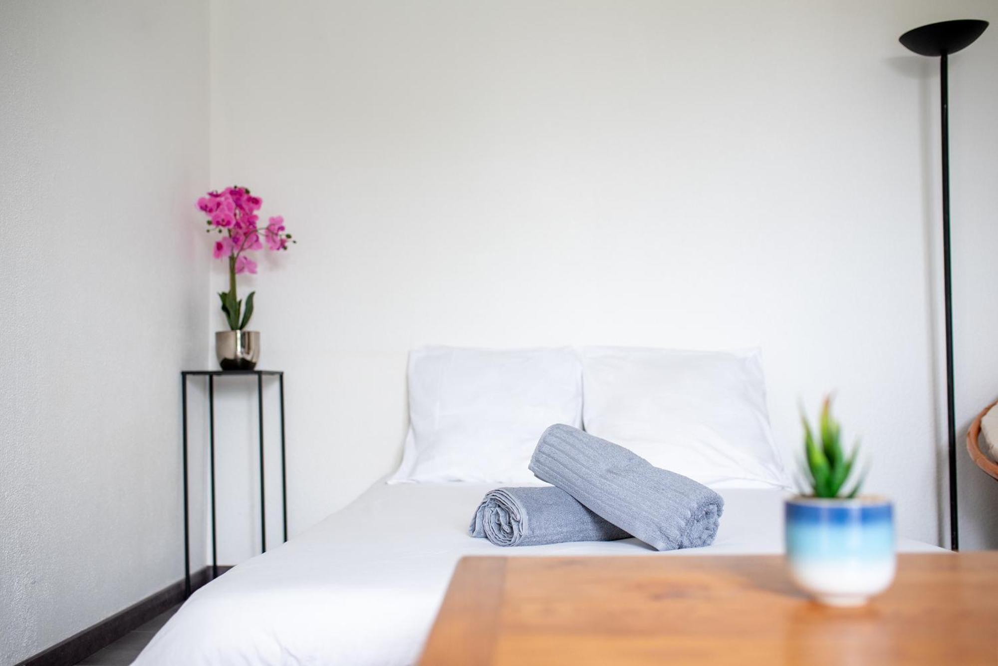 圖盧茲T2 Rangueil - Terrasse + 2 Parkings - 4 Personnes公寓 外观 照片